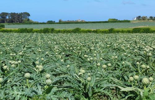 House in Brittany near Sandy Beaches - Foto 25