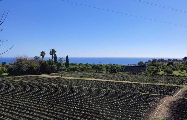 Paolimura Resort- Apartment & Spa - Foto 54