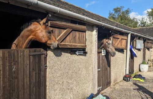 The Old Farmhouse at Brackenthwaite Farm - Photo 31