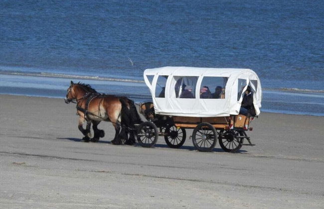 De Seekobb -beachgoers - Foto 31