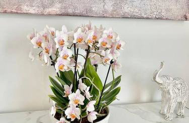 Luxury 3BD Condo in the heart of Providence - Photo 7