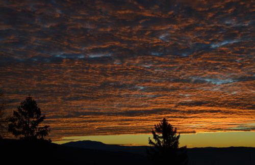 Apartments Villa San Vito - Foto 9