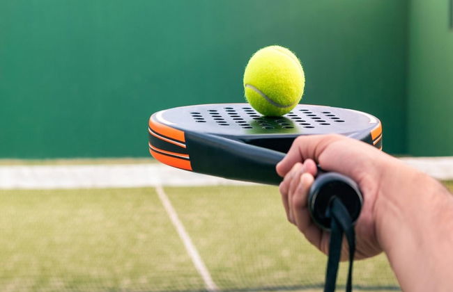 Eco Villa in Latour With Garden Sauna - Foto 15