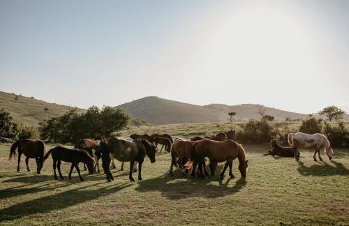 Apartman ZAZU - Foto 30