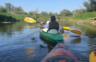 U Wrót Bieszczad - Foto 38