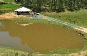 Casa de campo Serra Alta - Foto 8