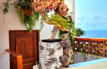 Anaga Manolo Natural House - Foto 24