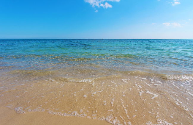 Beach Apartment in Puglia - Foto 28