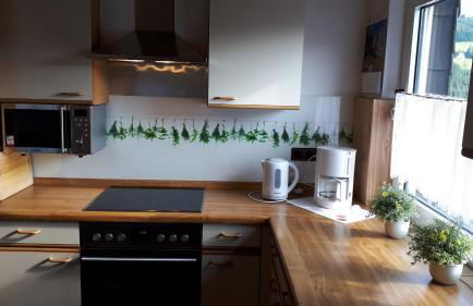 Panoramablick Ferienwohnung Luge Winterberg Sauerland - Foto 11