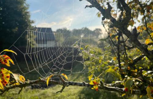 Apple Tree House - Foto 48