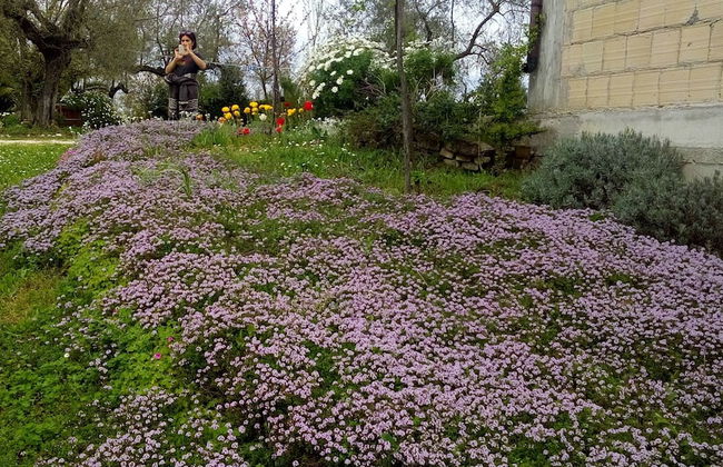 Agriturismo Via del Campo - Foto 32