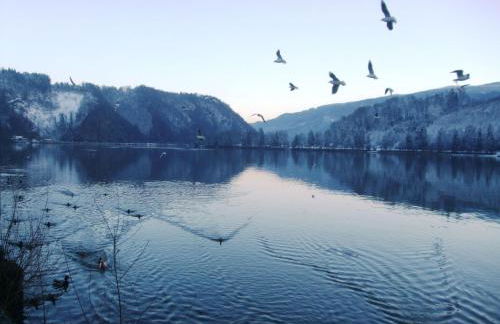 Apartment Örtl in Obernzell by Interhome - Foto 32