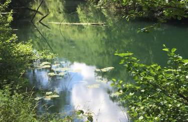 Gîtes des Deux Vallées La Borieta du Causse - Rocamadour - Foto 46