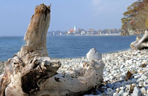 Baumanns Ferienhof Am See - Foto 15