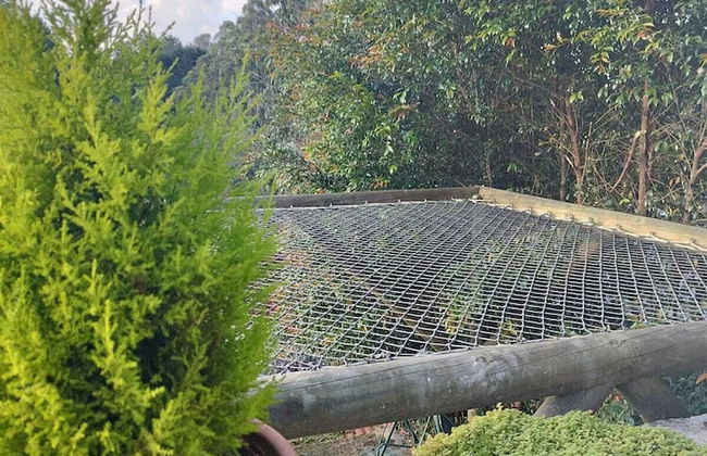 finca hotel zona 7 - Foto 33