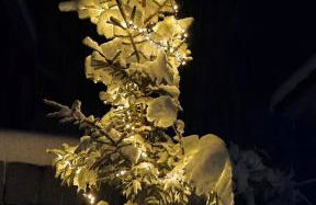 Tiny House Eulenbach - Urlaub im Gletscherkessel Präg - Foto 58