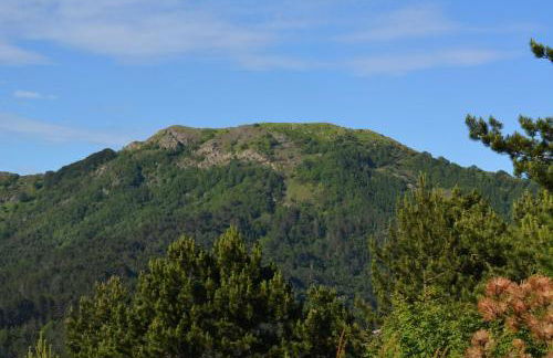 Agriturismo Monte Pu' - Foto 38