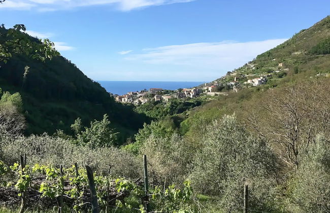 Villa Maddalena - Foto 28