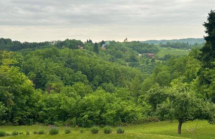 Apartman Perla - Foto 48