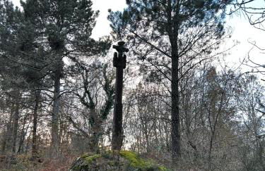 Sola Costeiro - Foto 16