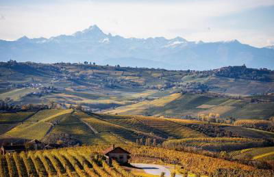 Casa Musotta - Dimora nelle Langhe - Foto 28