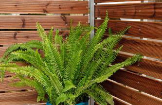 Petros & Eirini Home - Foto 32