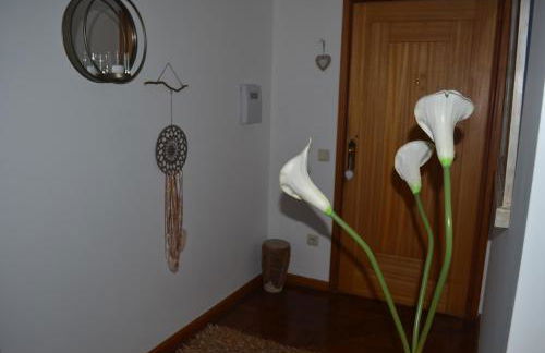 ESPAÇO ALVIM - Foto 71