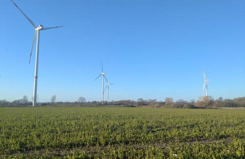 Villa Hennstedt - Photo 15