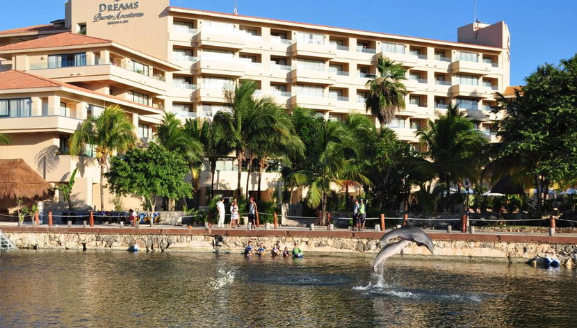Encuentro con delfines en Puerto Aventuras - Foto 2