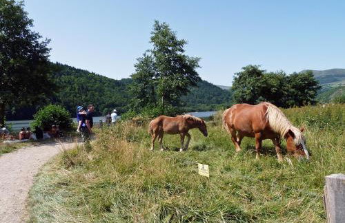 Les Chenets - Foto 18