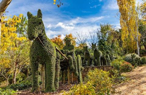 Ideal FAMILIAS hasta 15 Personas en San Martín de Valdeiglesias Madrid - Foto 61