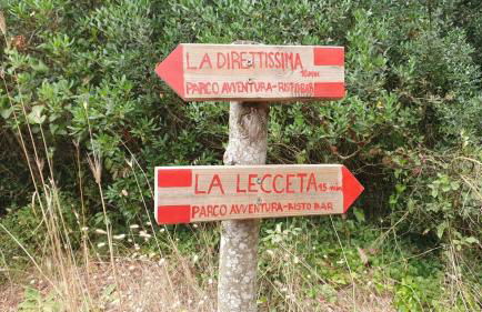 Casa Zefiro, tra pineta e mare! - Foto 36