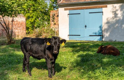 Ferienwohnung im Landschloss - Foto 11