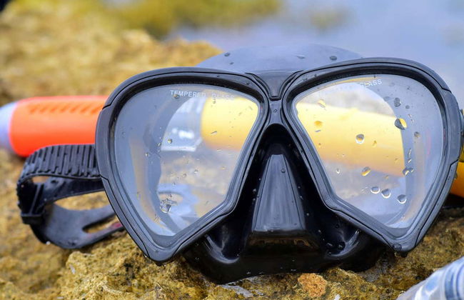 Snorkeling at Caño Island - Photo 5