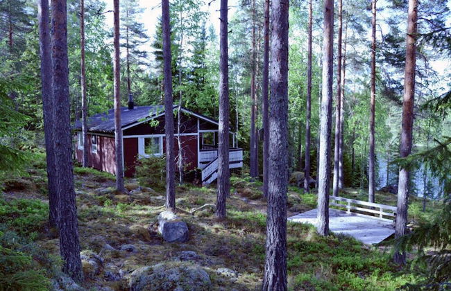 Salkolahti Minttu - Foto 28