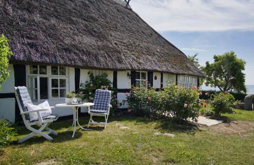 strandnahe Idylle am Meer, private Badestelle mit Strandkorb - Gutshof Ostseeblick FeWo Nr 04 - Photo 15