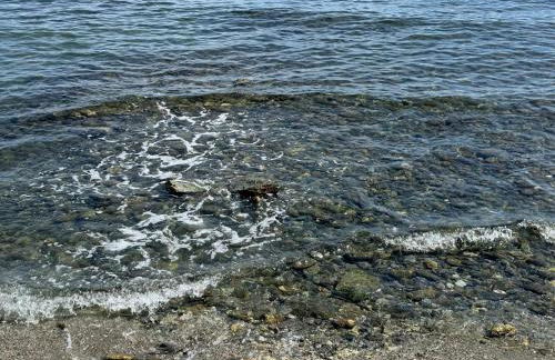 Appartement n 302 moriani plage - Foto 30