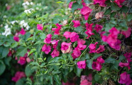 La casa davanti al mare - Foto 23