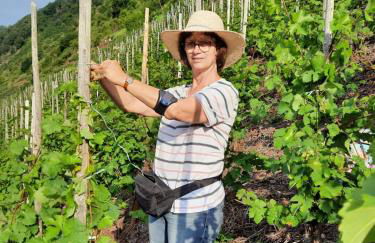 Ferienwohnung Gerhard Lenz - Foto 38