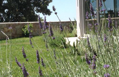 Lidea Boutique Hotel - Foto 9