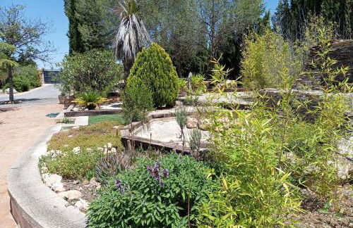 Casa rural el Carmen de la Sierra - Foto 47