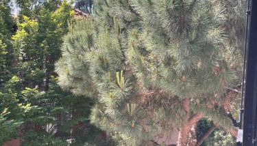 Agaphouse Loft in Milan - Foto 2, Garden view