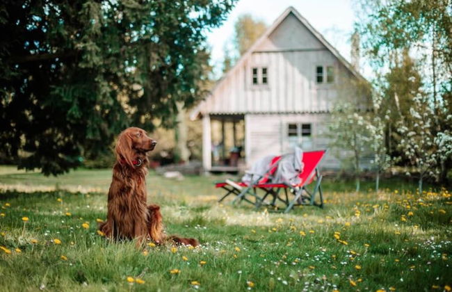 Holiday Home in Belczna Near Klepnicko Lake - Foto 21