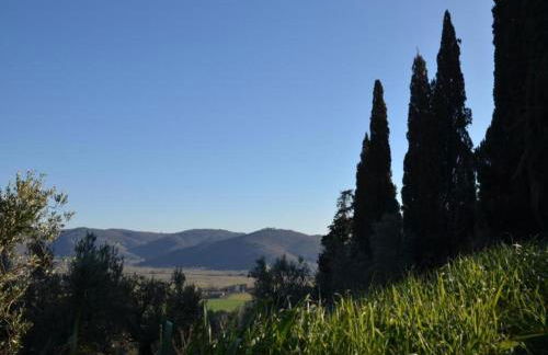 Rustic Charm, Modern Comfort - Foto 61