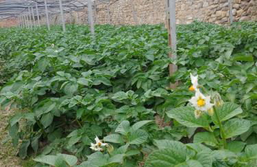 Agriturismo Ca du Bega 2 - Foto 23