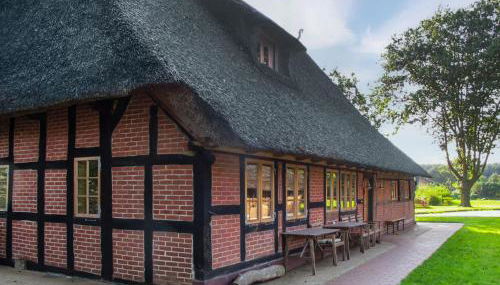 Apartment Dat Litsche Hus-1 by Interhome - Foto 5