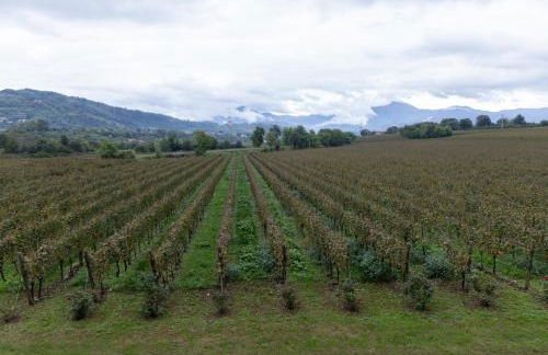 AGRITURISMO RIPA DEL BOSCO - Foto 10