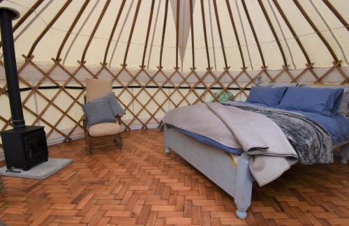 1 Bed in Rhydowen 85415 - Photo 7