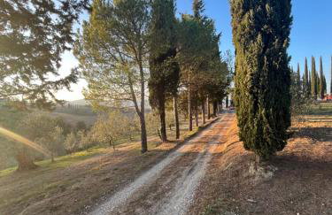 LA COLLINA DEI SAPORI Montepulciano - Photo 38
