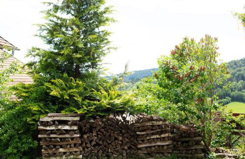 Tinyhaus 1 - Foto 19